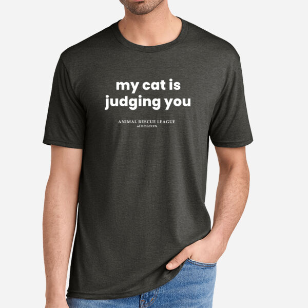Perfect Tri Tee - Cat Judging Thumbnail